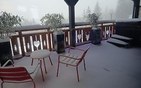 Chalet neuf avec jacuzzi privé, vue imprenable sur Massif des Vosges